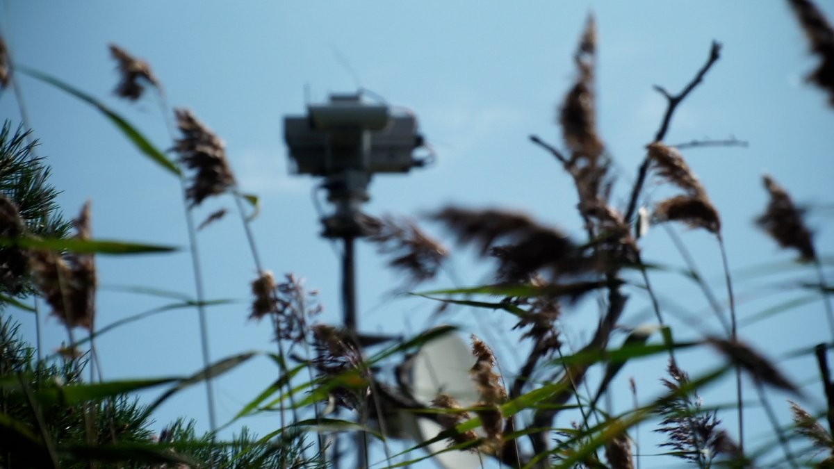 Janita Hämäläinen tweet media