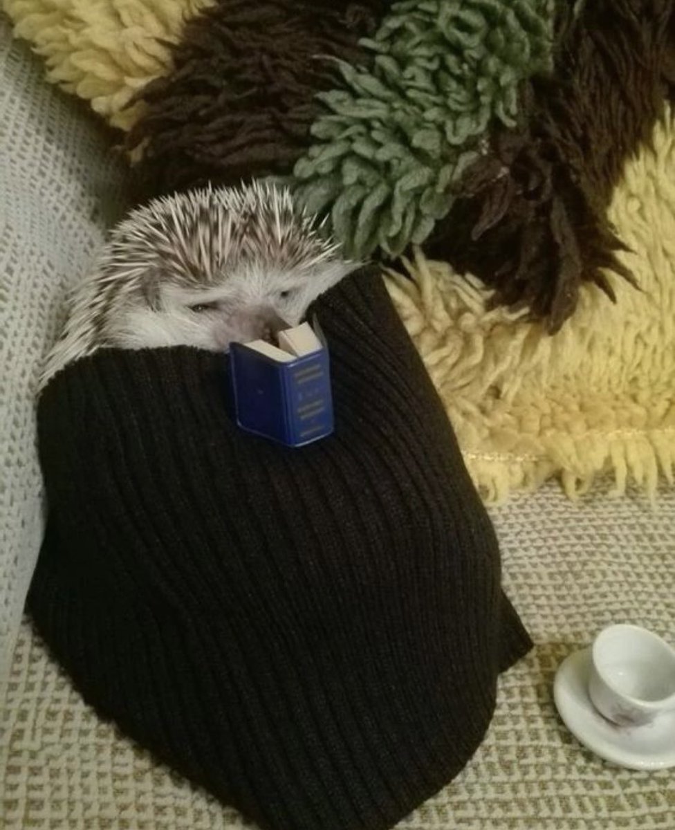 *llueve 5 minutos*

Automáticamente yo: