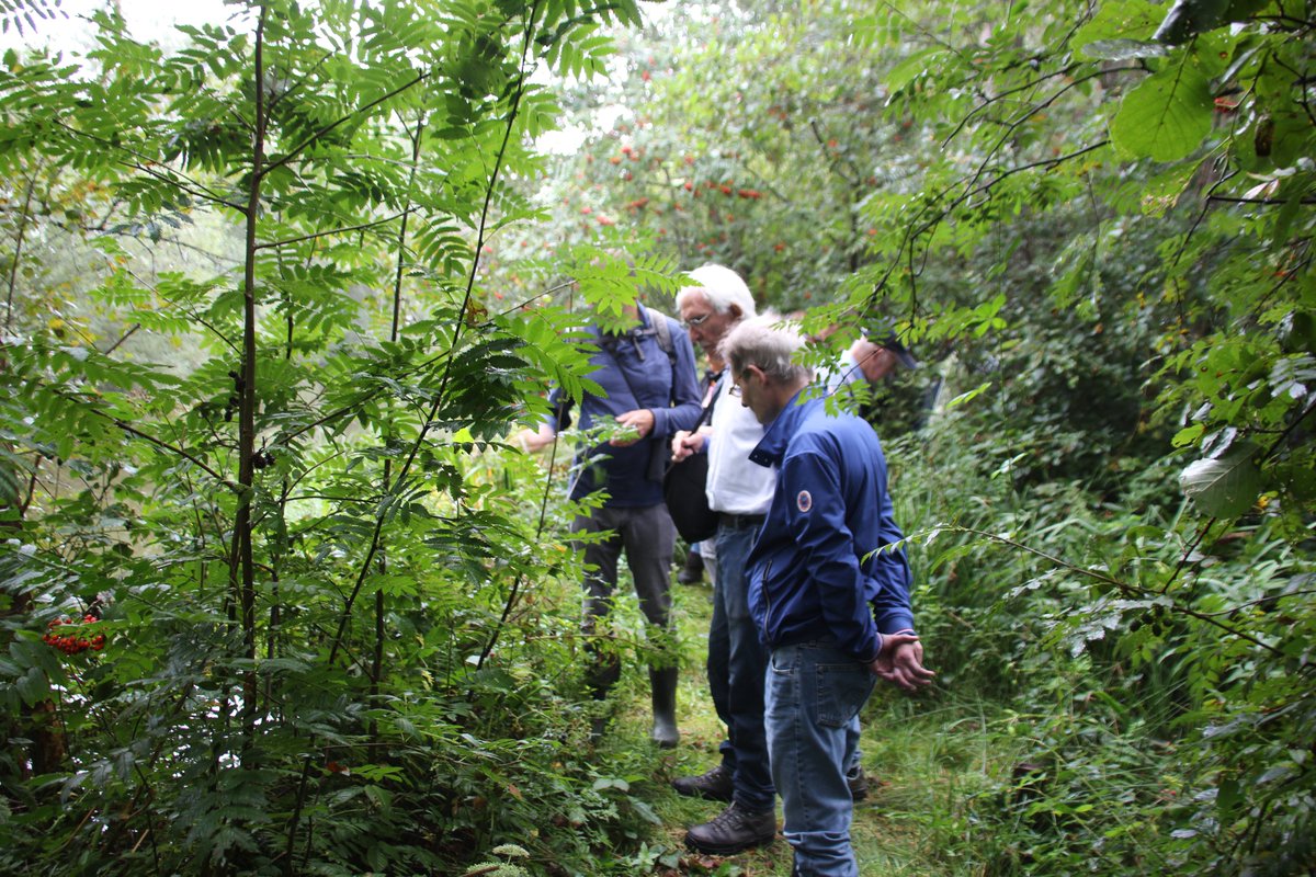DeNVWK's tweet photo. Onder leiding van oudgediende Anton van Jaarsveld met 20 deelnemers een bijzondere excursie gedaan in de Stolwijkse boezem, onder Gouderak. Met een likje heksenboter als toetje. https://t.co/ZUXO5ZIDrC
