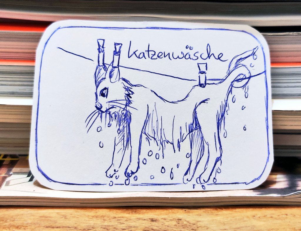 Samstag ist Waschtag. 
Auch für die Katz. 
Ob die das wohl schätzt? 😂😂
Tagesthema 'Katzenwäsche'
Kugelschreiberzeichnung
im
#catember
#catember2023
#kleineKunstklasse
#Caturday