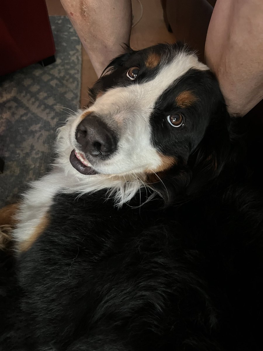 Portmandu's tweet photo. Cosey’s lovey dovey 🥰 look https://t.co/Rz30KQNVk4
