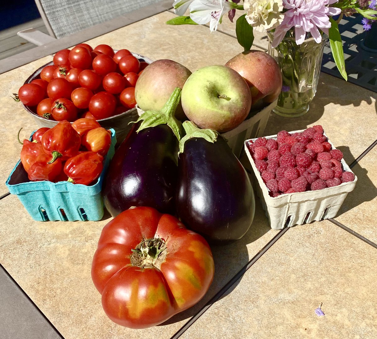 “Growing your own food is like printing your own money. Gardening is the most therapeutic and defiant act you can do, especially in the inner city…plus you get strawberries.”
- Ron Finely (Urban Gangsta Gardner)
@RonFinleyHQ 
#surburbangarden 
#knowwhereyourfoodcomesfrom