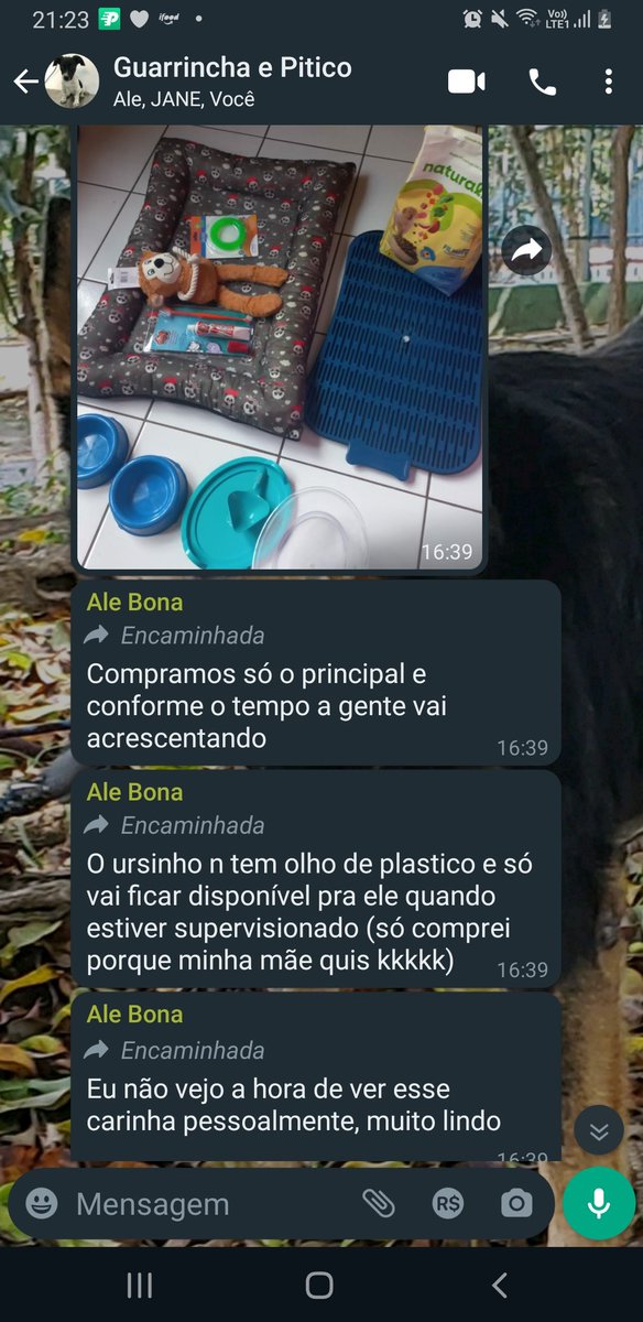 TataMoraissp's tweet photo. A Letícia estava super ansiosa com a chegada dele e logo após aprovação na entrevista, já correu para comprar algumas coisas 😍 https://t.co/KVL8l2akPi