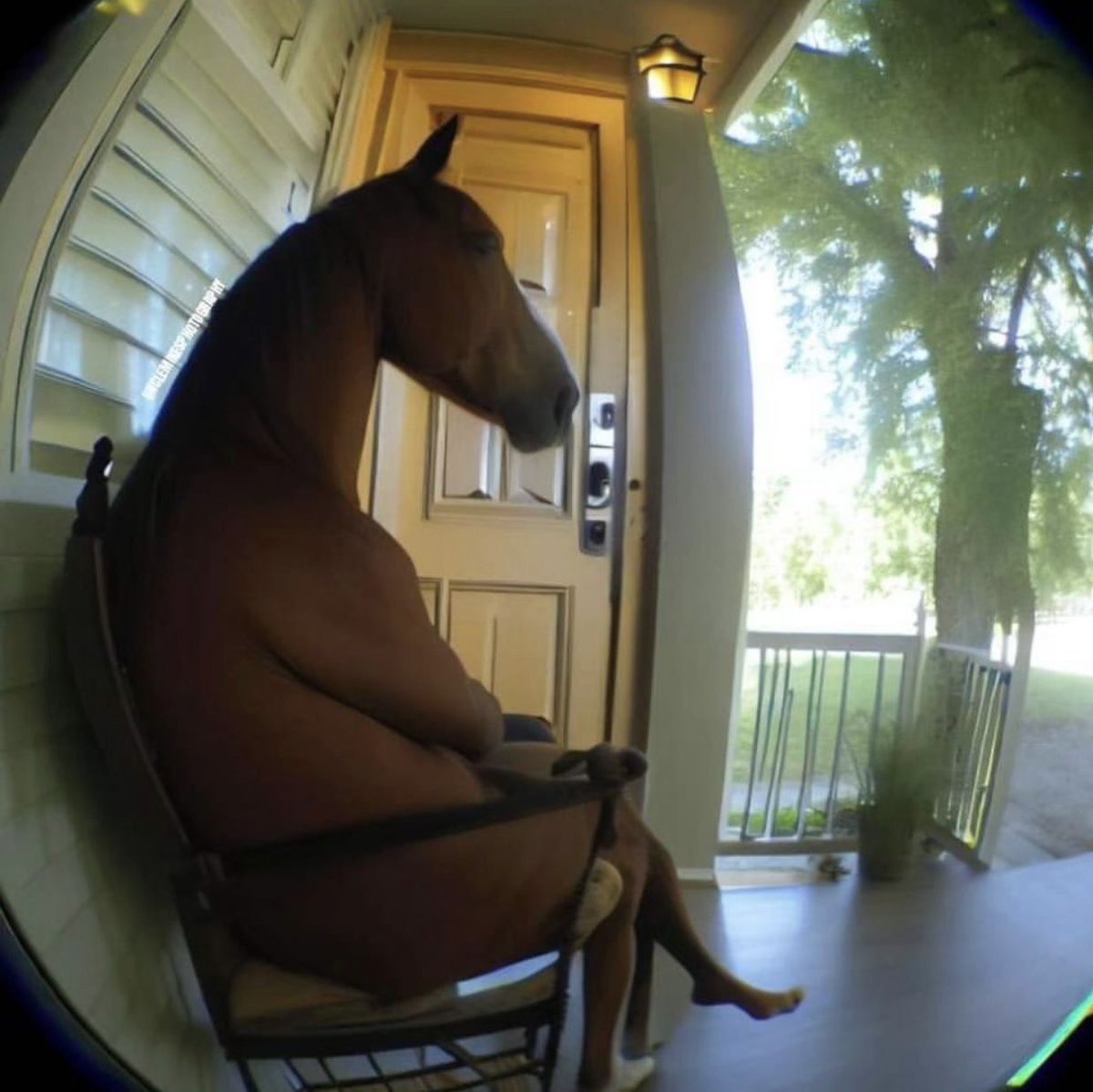 Moreno's tweet photo. Me waiting for my hyna to get ready https://t.co/BL2bDaEBbE