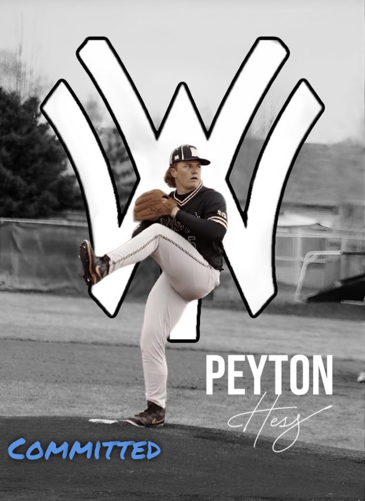 Peyton Hess tweet media