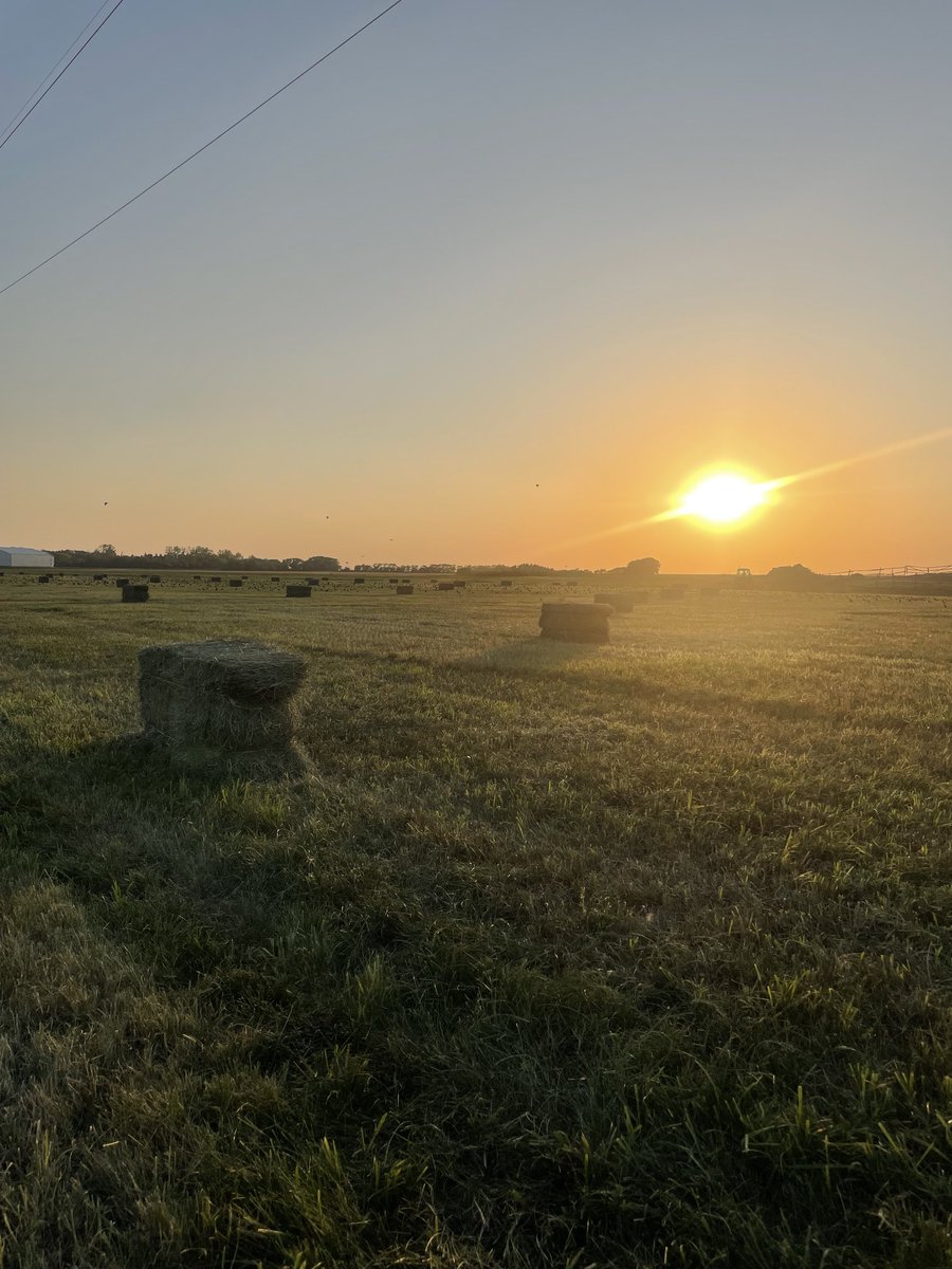 Dav™ 🇨🇦 tweet media