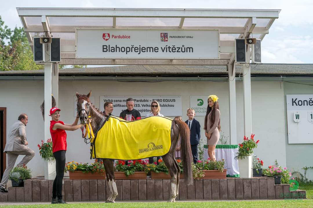 V závěrečném dilu kvalifikačního seriálu na 133. Velkou pardubickou se Slavia pojišťovnou zvítězil ARGANO trenéra a jezdce v jedné osobě Martina Lišky. Za nimi doběhli STAR, STUKE, slovenský ROYAL GINO, GODSALINO a GAP PIERJI. Počet kvalifikovaných koni se zastavil na čísle 26.