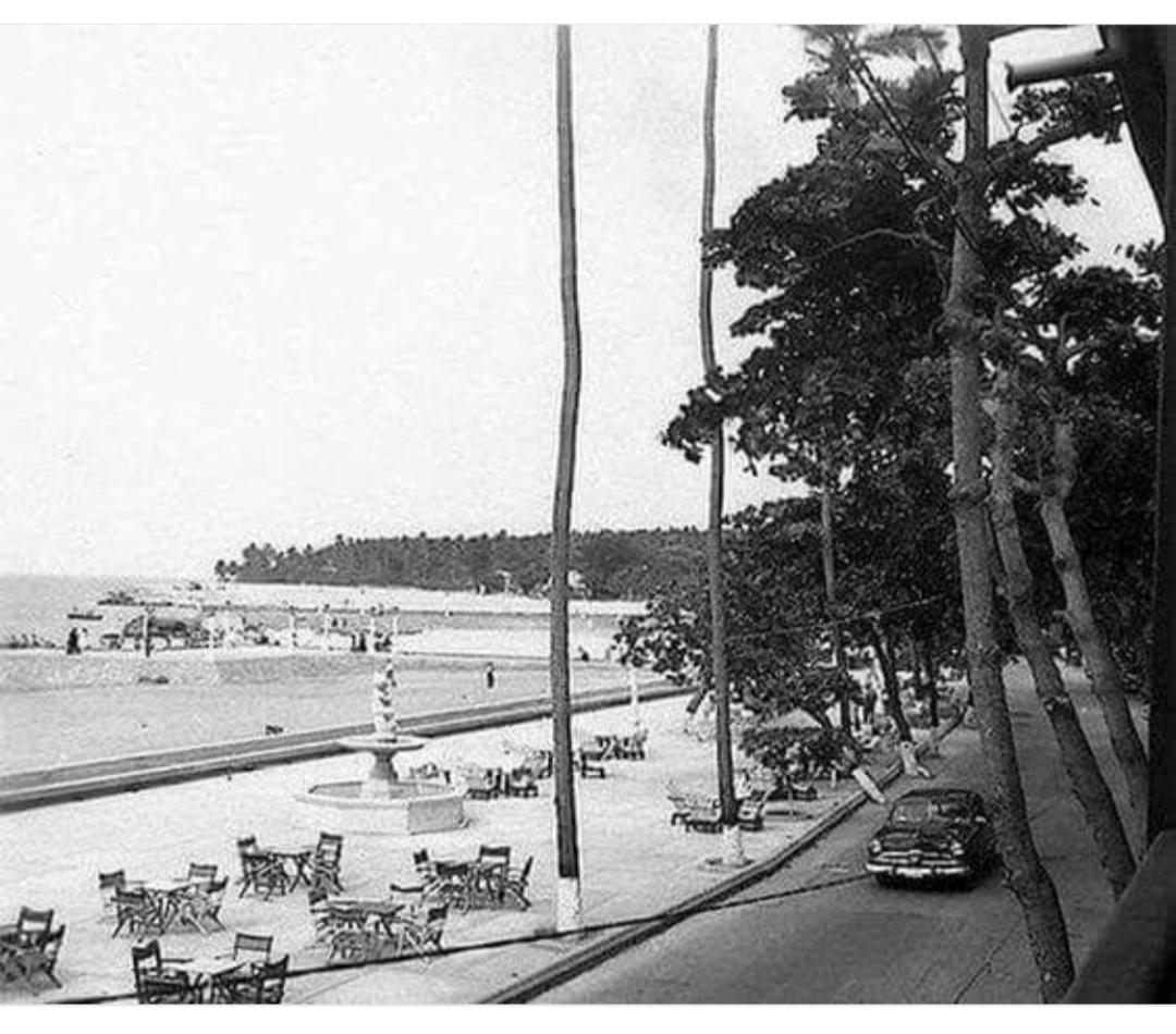 Juan Borrelli tweet media