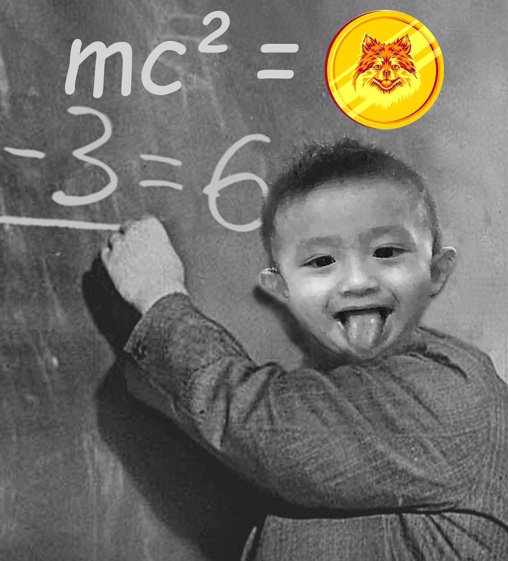 LegitXplore's tweet photo. @pomerdoge #pomerdoge  #meme competition https://t.co/fuLbaLXQ0h