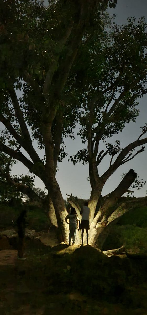 Kavita Srivastava tweet media