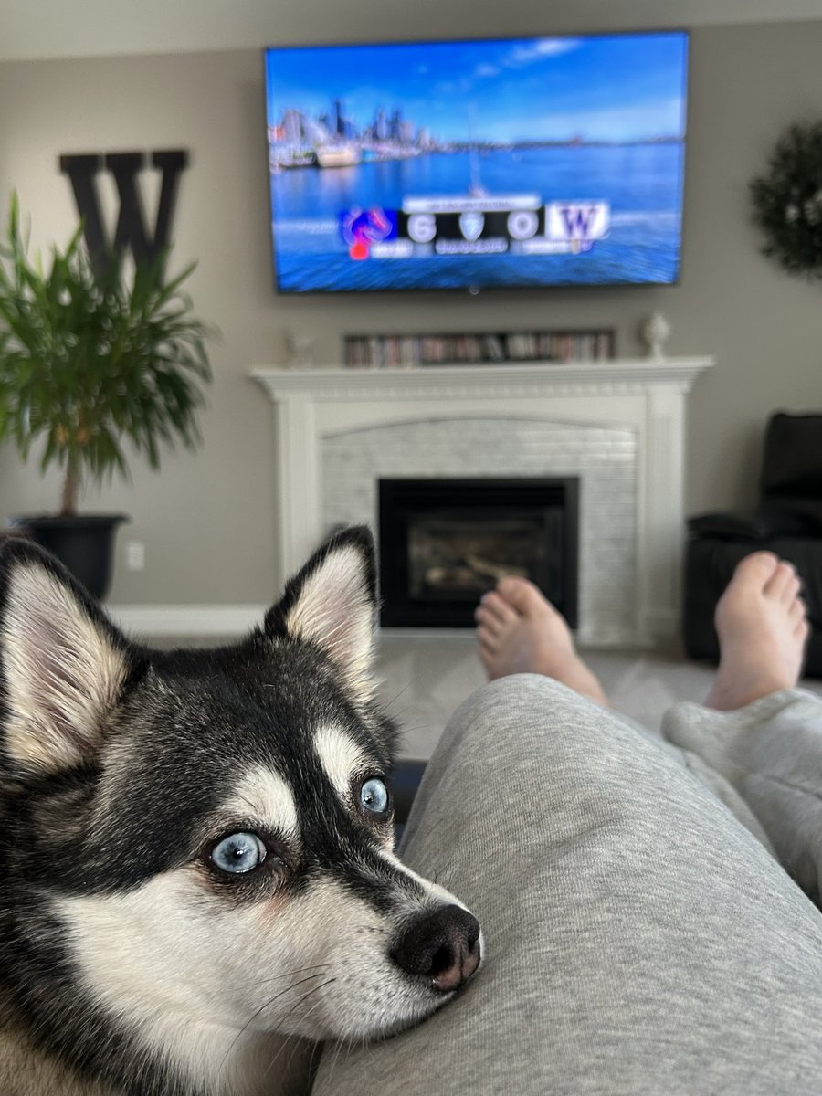 CoreyWilkins's tweet photo. Doug said it’s not time to worry. #WAvBSU #GoHuskies #BowDownToWA! #BDTW @UW_Football @BroncoSportsFB https://t.co/RCJ2RICcrf