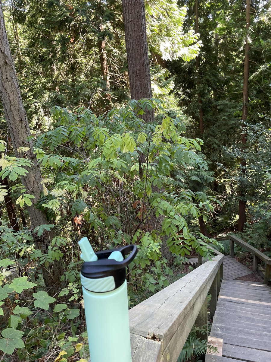 Explored a new park yesterday.
#explore #walking #nature