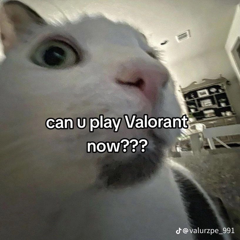 Be_Akeno's tweet photo. Anyone?? #VALORANT #valtwt #LFG https://t.co/J3ZQbZ5EwX