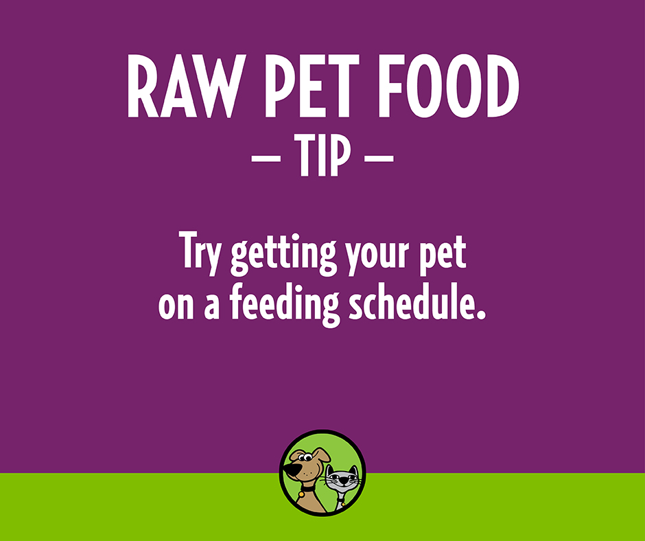 🕒 Feeding your furry friend on a schedule can work wonders for their well-being! Consistency helps regulate digestion, energy levels, and weight. Try setting up a regular feeding routine to keep your pet happy and healthy. 🐾 

#RawFeedingTips #HealthyPets #FeedingRoutine