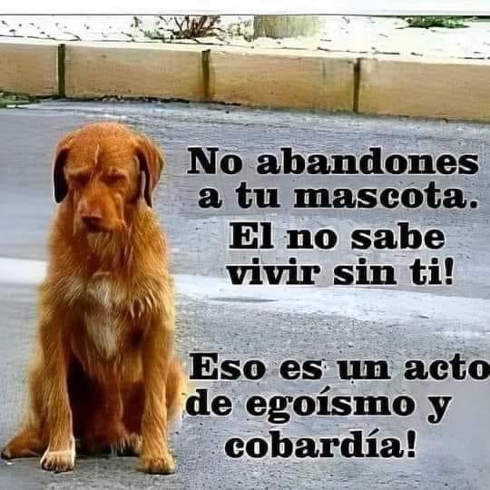 Mayú Guillén 🇲🇽🇺🇦 (@mayumiguillen) on Twitter photo 