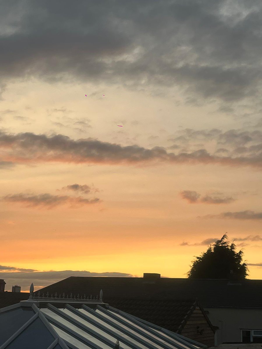 Huma Naqvi (on blue sky too) tweet media