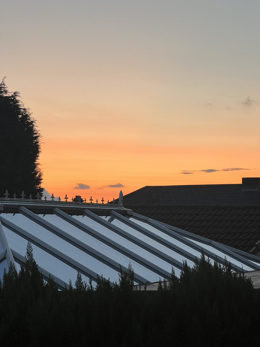 Huma Naqvi (on blue sky too) tweet media