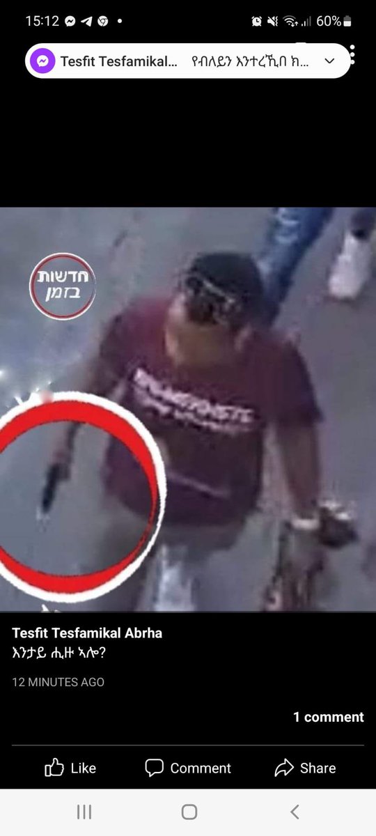 realyonaswoldu's tweet photo. .@IsraeliPM  watch this video.

The evidence is clear.

The people in this video attacking the 2 protesters are Eritrean Government supports. Review the evidence. https://t.co/Bsek1fnyua
