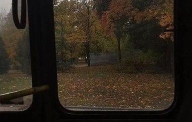 AcademiaDreams's tweet photo. “Autumn wins you best by this, its mute appeal to sympathy for its decay.”

— Robert Browning https://t.co/qNhm7hpBci