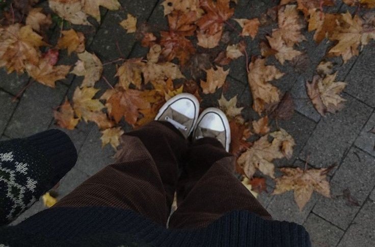 AcademiaDreams's tweet photo. “Autumn wins you best by this, its mute appeal to sympathy for its decay.”

— Robert Browning https://t.co/qNhm7hpBci