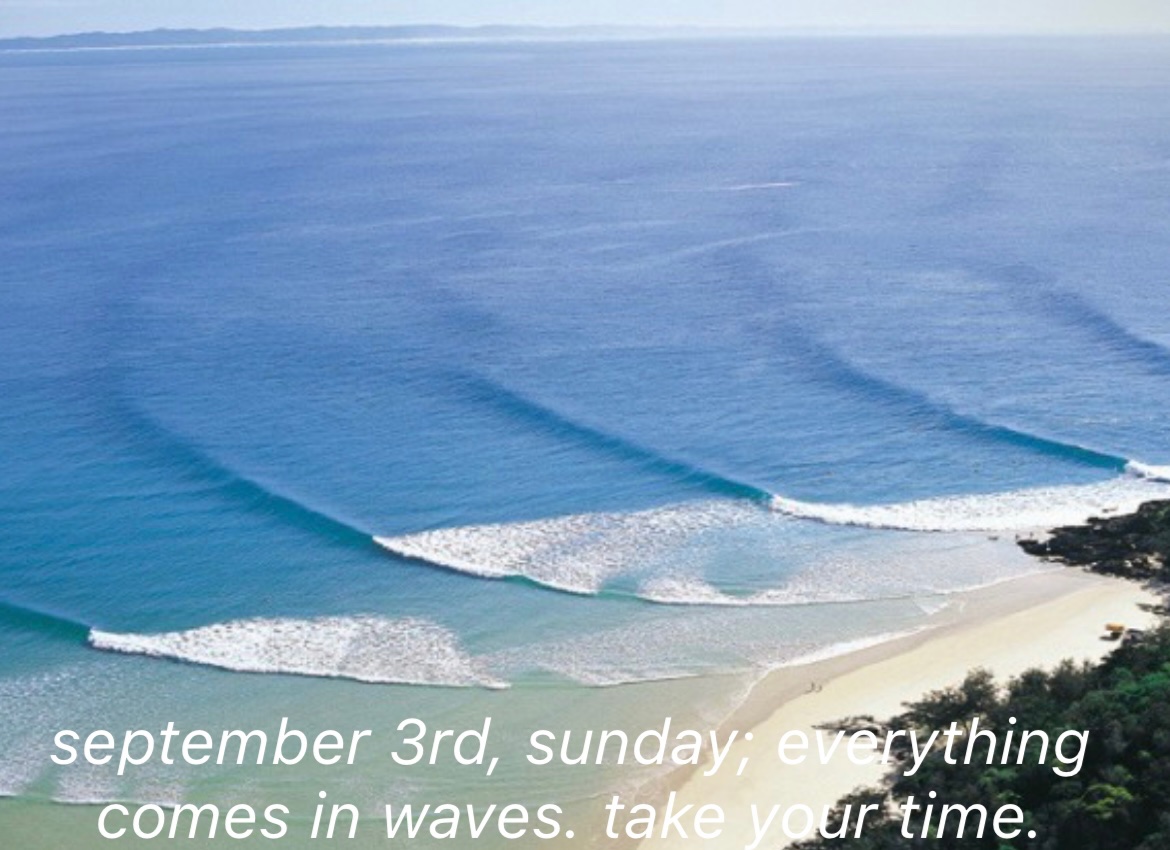 Aphrodite🧚 tweet media