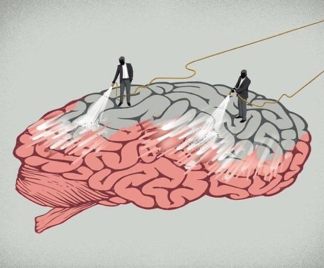 Gelişmiş toplumda; çaycı olması gereken kişi çaycı olur, yönetici olması gereken kişi de yönetici olur. Gelişmemiş toplumda; çaycı olması gereken kişi yönetici olabilir, yönetici olması gereken kişi çaycı olabilir. Negatif seleksiyon olur; iyi cezalandırılır, kötü ödüllendirilir.