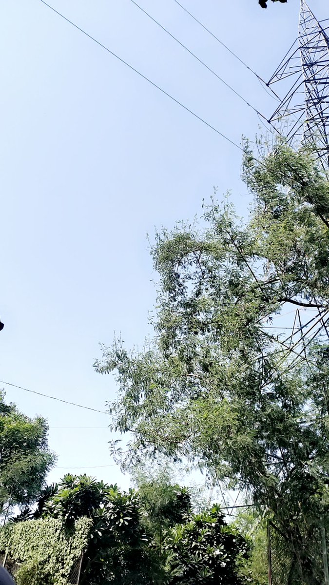emperormaurya1's tweet photo. sometimes it's endearing to watch the sky 🔄and mesmerize https://t.co/lTFCKukkPl