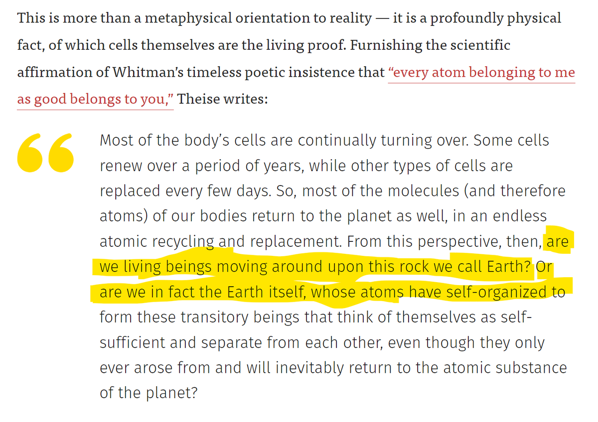Bec McMaster (she/her) tweet media