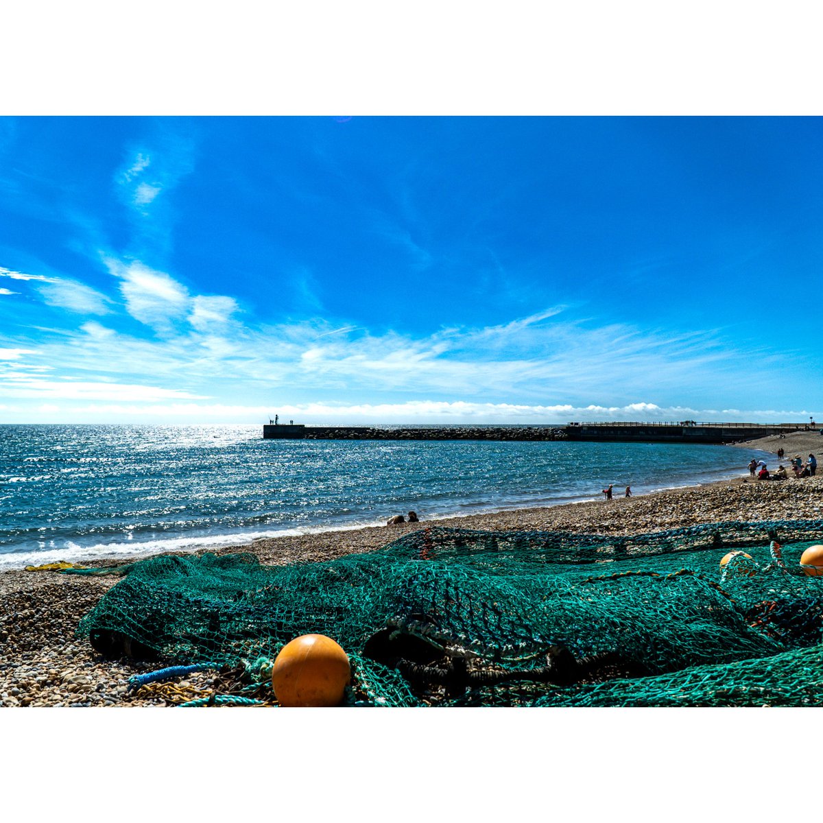 thomas_TomTom's tweet photo. Happier than a seagull with a chip #photography https://t.co/AekbZMn7Kp