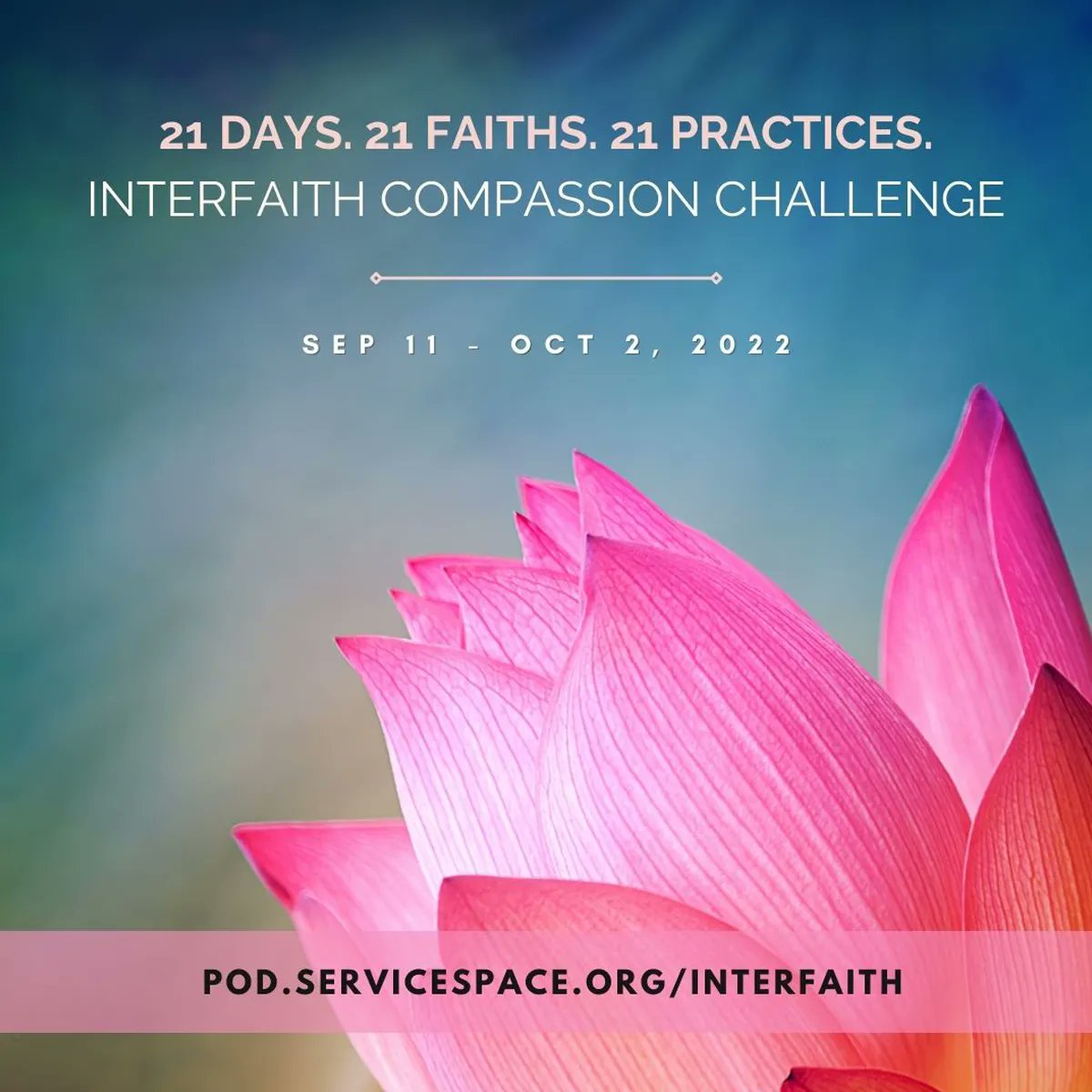 IONSonline's tweet photo. The world is better because your kindness is in it. 21 days interfaith compassion challenge. Join Now: https://t.co/Pac9EPQFXW #Compassion911 https://t.co/QR7Wwk2jlZ