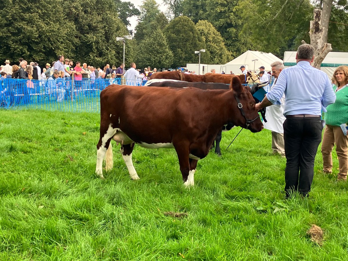 kfpben87's tweet photo. Superb day at @AlresfordShow 

My favourite day of the year! https://t.co/tkJnzrE0kg