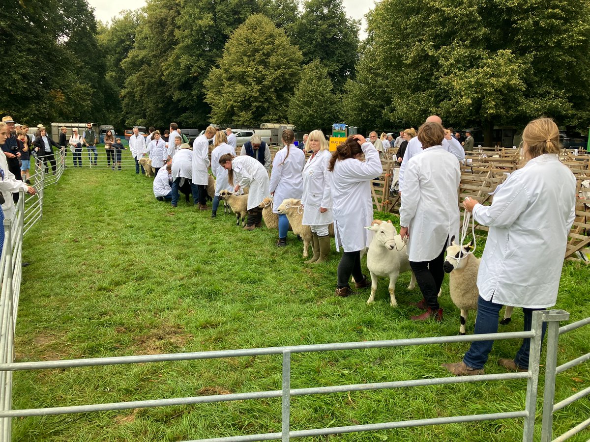kfpben87's tweet photo. Superb day at @AlresfordShow 

My favourite day of the year! https://t.co/tkJnzrE0kg