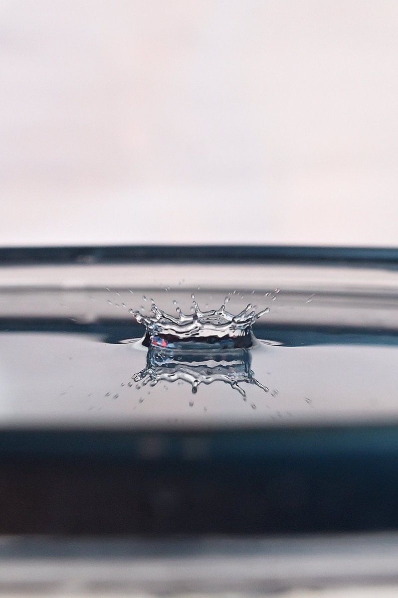 tapujaveri's tweet photo. @VisualsbySauter Experimenting with reverse mount lenses https://t.co/Qqs6vougpj