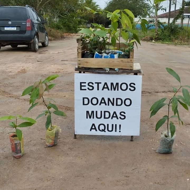 MST_Oficial's tweet photo. 🌳#PlantarÁrvores, Produzir Alimentos Saudáveis!
A Escola Municipal Paulo Freire informa que hoje (02), deu continuidade na 38ª edição da Campanha de Plantio de Arvore. O dia foi de ação na BR 367KM 22, em frente à escola, com de doação de 25 mudas, para quem passar pela BR. https://t.co/KeXQQXr8Zm