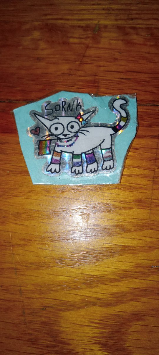 BoffeeCean's tweet photo. Thanks to the person who put a gay little kitty(a cat holding lgbtq+ flags) on a Faris wheel 
It helped me with my fear of heights!

It's now in my phone case forever(I taped it to a piece of paper) https://t.co/g1gqZRaSxg