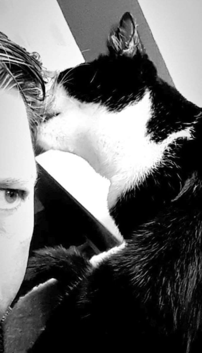 AlpacaAlfredo's tweet photo. Liefde is...🐱❤️
#Milo #CatsofTwitter https://t.co/oyvexMdGuQ