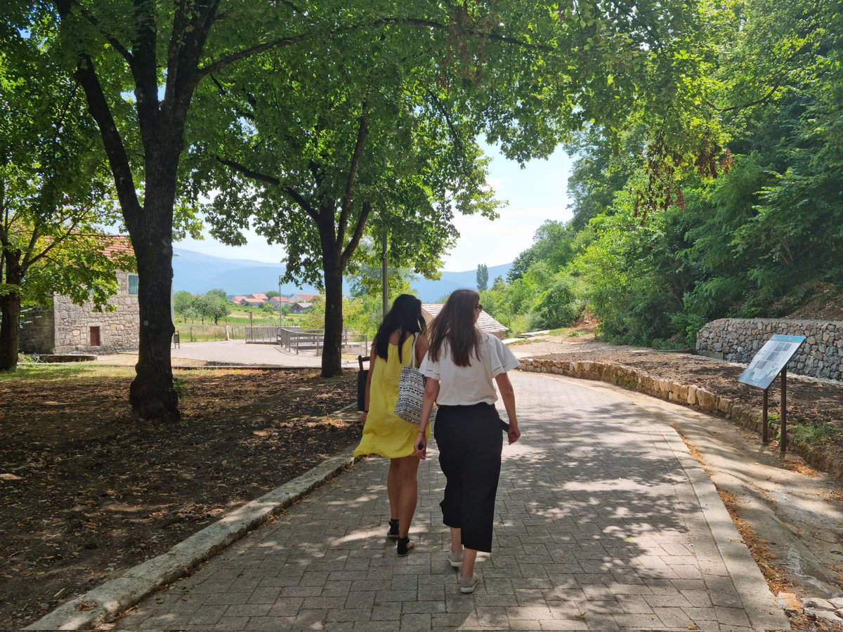 Memorable #moments #sunflowers