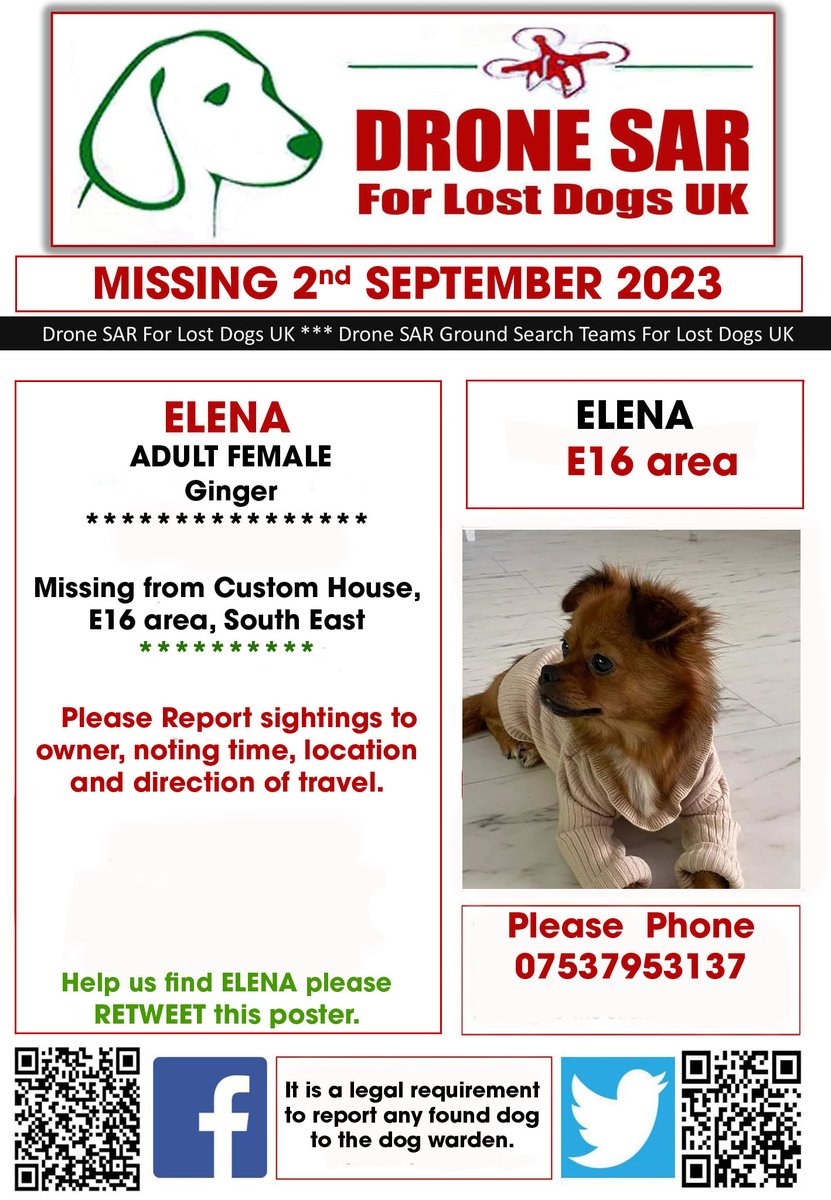 sar_dogs's tweet photo. #LostDog #Alert  ELENA
Female Ginger (Age: Adult)
Missing from Custom House, E16 area, South East on Saturday, 2nd September 2023 #DroneSAR #MissingDog https://t.co/2dpQByHmxe