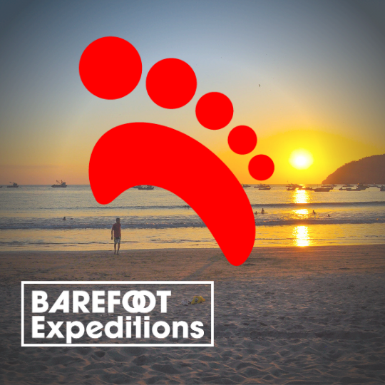 TravelEcuador's tweet photo. New Our AI-powered assistant, Apollo, is available to assist you in planning your trip through our website’s chat box. you can easily navigate our website and find the best travel advice to suit your needs. 
https://t.co/XdyaoF6LHO https://t.co/8SNv5kYSqJ