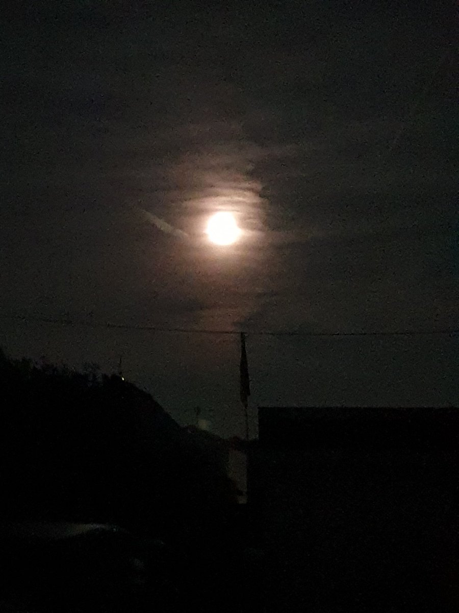 Ach, du guter Mond, du stehst so stihille...🎶🎵🎶