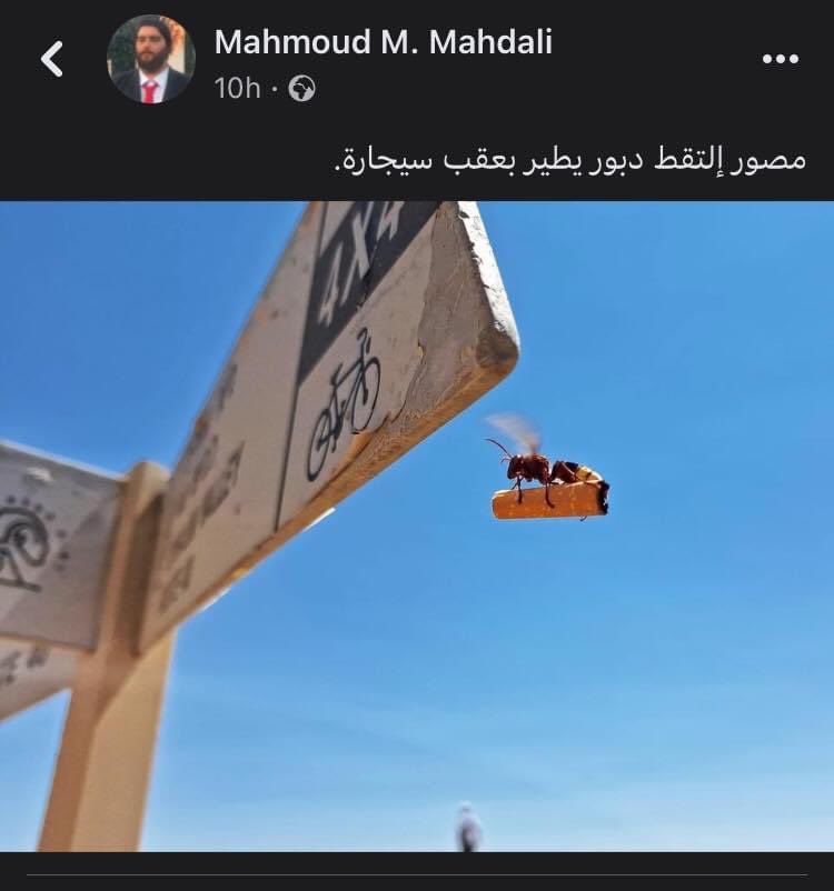 MMadcore's tweet photo. المشاهد اللي قبل الانترو في better call saul https://t.co/celW4KWEqz