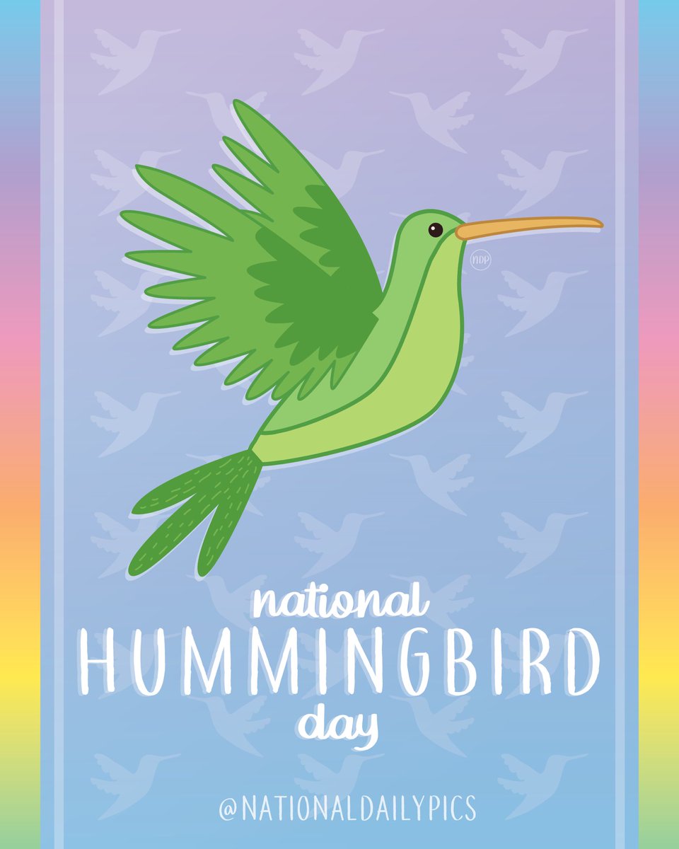NationalDayPics's tweet photo. Happy National Hummingbird Day! 🪺

Fun Fact: There are roughly 360 different hummingbird species! 

💜💜Follow @NationalDailyPics on instagram for more!💜💜

#NationalHummingbirdDay #HummingbirdDay #NationalHummingbirdDay2023 #HummingbirdDay2023 #NationalDailyPics https://t.co/RGmPoKJZv6