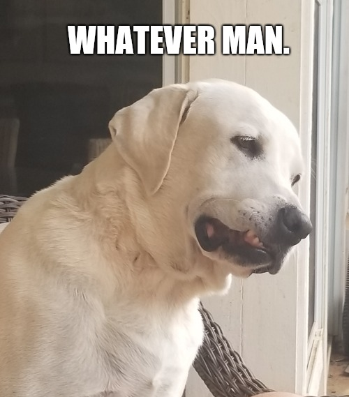 whateverfinance's tweet photo. 🌌 Seeking financial advice? Whatever! But if you want a taste of meme-powered success; whatever is your answer. Fasten your seatbelts, because the journey to wealth or whatever starts now! 💰😂  

#Memetoken #WE #Whatever #1000X https://t.co/bltv6YLSAK