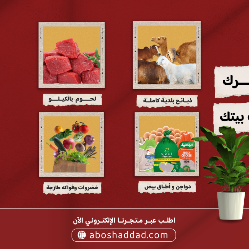 aboshadddad's tweet photo. .
وفر وقتك ومشاويرك
بضغطة زر توصلك لباب بيتك 🚚

#ذبائح بلدية طازجة🐑 (ك��ملة - نصف - ربع )
#لحوم بالكيلو 🥩
#دواجن وأطباق بيض��
#خضروات وفواكه محلية طازجة 🥦

#ذبائح أبوشداد طازج دائماً 🐑 

 #جدة #الحمدانية #السامر #ذبائح #لحوم #طازج #جدة_الان