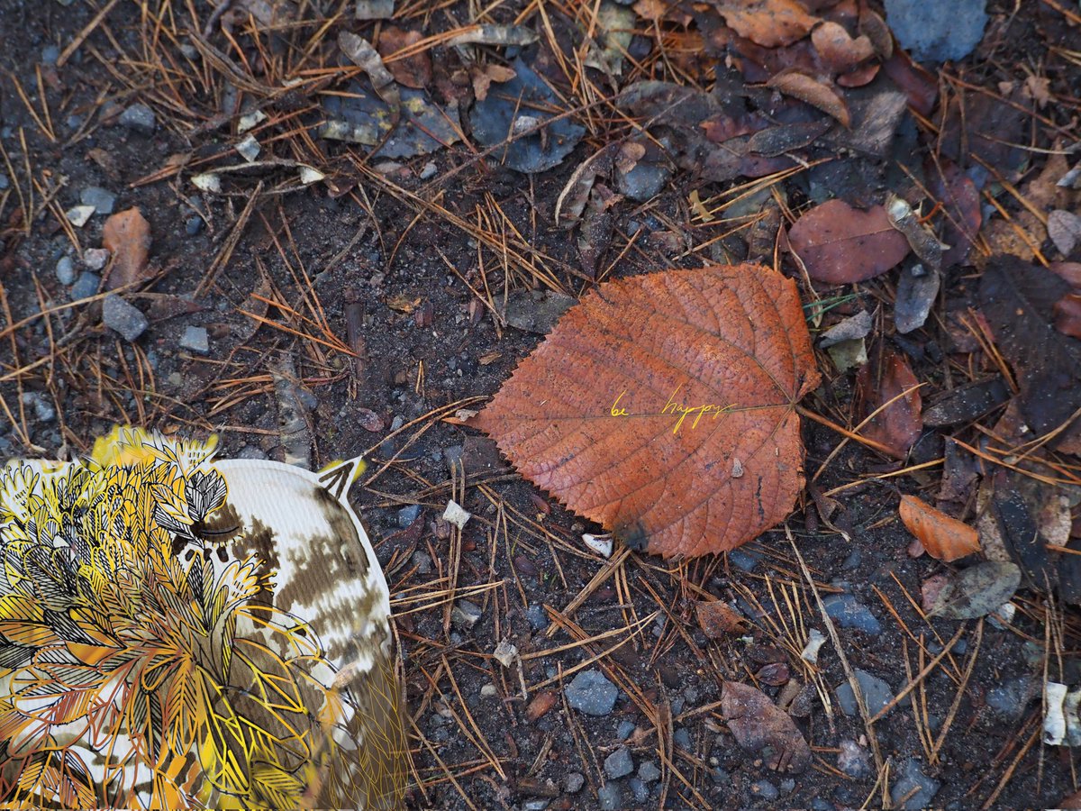prostirdumok's tweet photo. ๐...
Autumn sunshine
...
#prostirdumok #artwork #photography #bird #Autumn #kunst #OpenSeaCollection #openseaartist #openseaart #art #NFTCommunity #NFTartist #NFTArts #NFT #didjitalart #nftphotography #poster #Posterwork #fineart #leaf #fineartphotography #leaves #September2023 https://t.co/1kycneIuMG