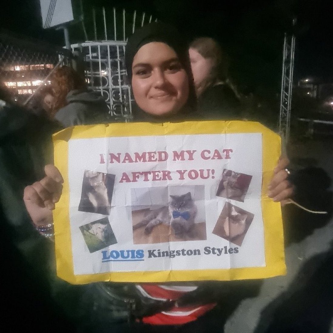 theAFHFspain's tweet photo. 📸| Este es el cartel que nos hizo conocer la redflag de Louis 🚩🚩

– iasmineishome https://t.co/BX7GPm7JV9