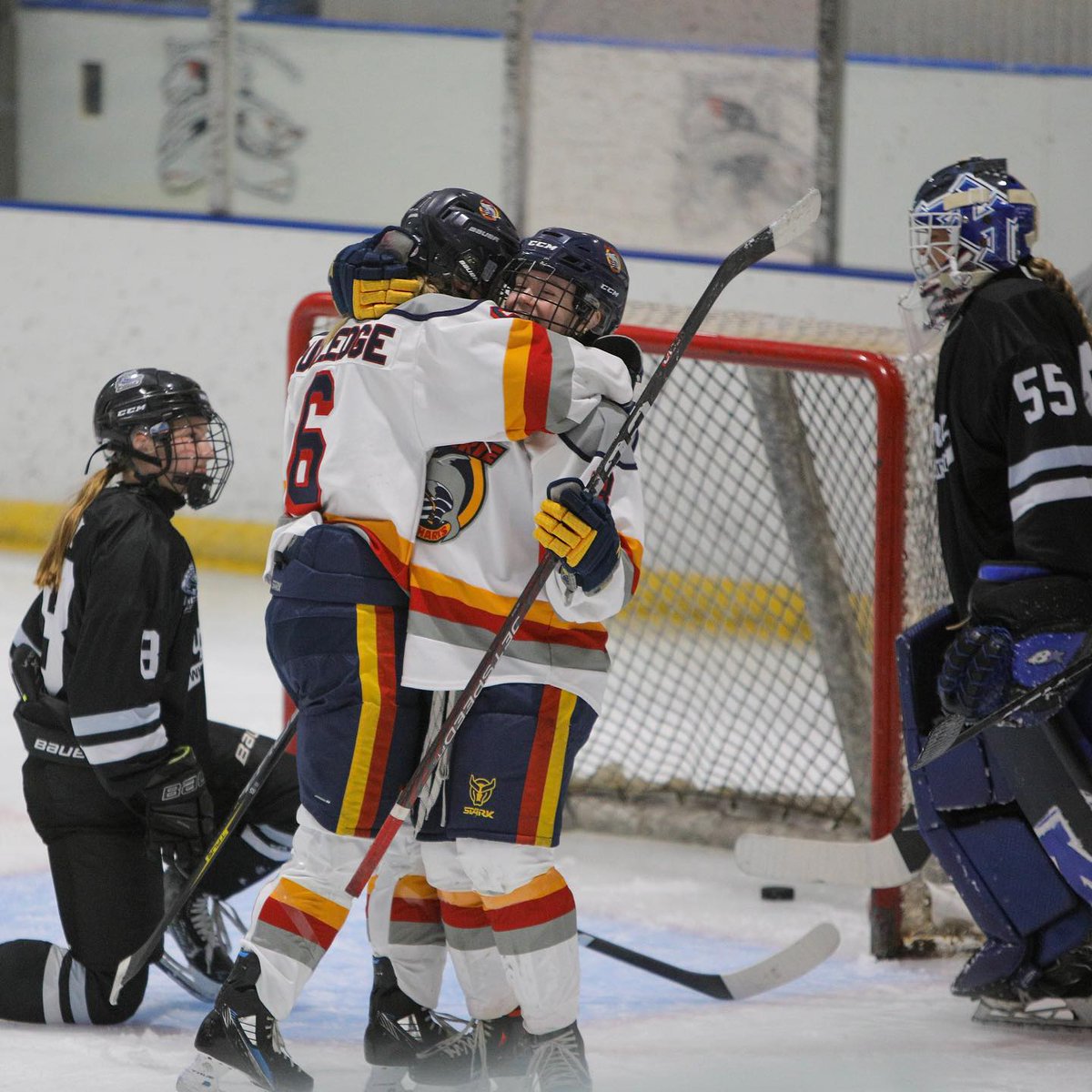 Barrie Jr. Sharks tweet media