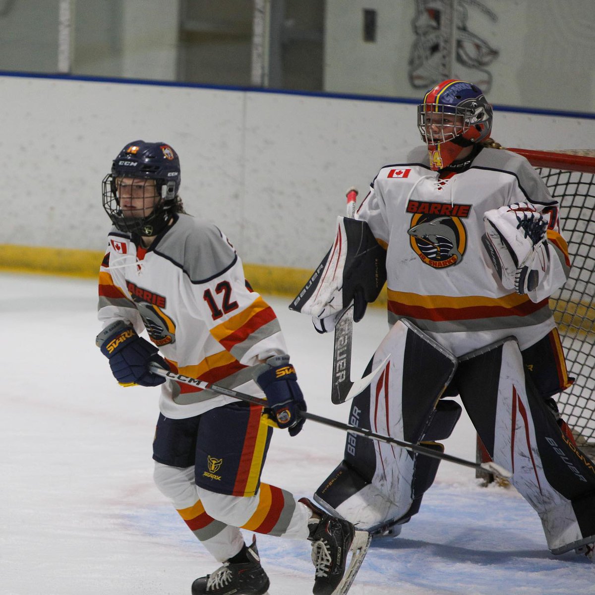 Barrie Jr. Sharks tweet media