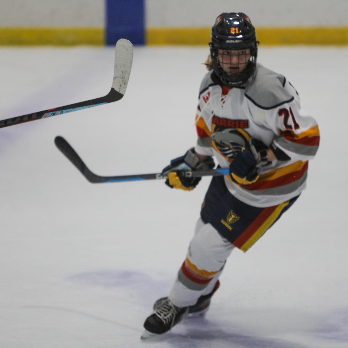 Barrie Jr. Sharks tweet media