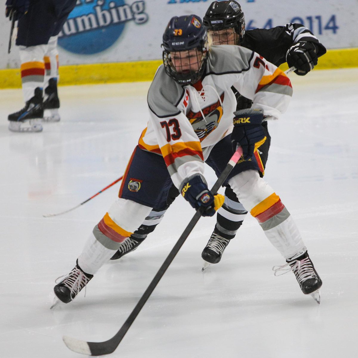 Barrie Jr. Sharks tweet media